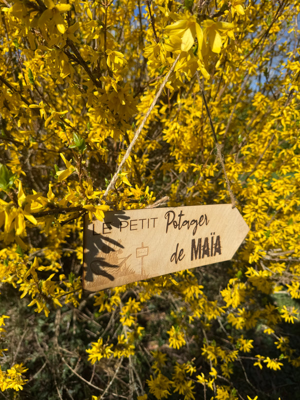 Vegetable garden sign
